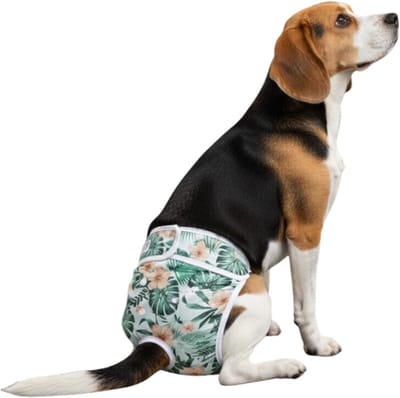Loopsheidbroekje hond Bloemenprint Maat L - Herbruikbaar - Hondenbroekje - Hondenluier - Verstelbaar - Bij loopsheid en incontinentie - Perfecte pasvorm - Taille 36-46 cm