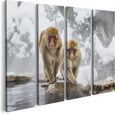 Artaza Canvas Schilderij Vierluik Twee Aapjes In De Sneeuw Op Rotsen - 80x60 - Foto Op Canvas - Canvas Print