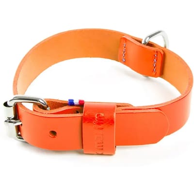 Bicolore leren hondenhalsband Martin Sellier 499