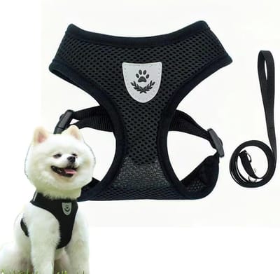 Waledano® Zwart Tuigje Hond - Anti Trek Tuig Hond - Hondentuigje Kleine Hond - Hond Zacht Vest Harnas - Borstomtrek 45 cm - Halsband - Riem 1 Stuk