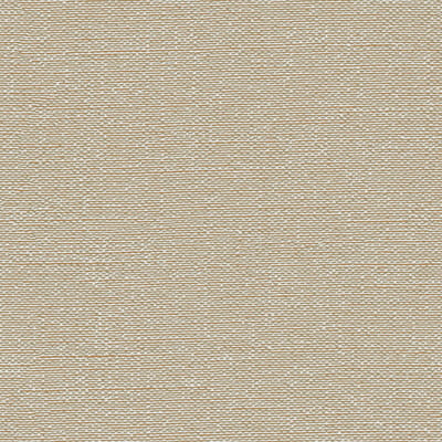 Dutch Wallcoverings - Tapestry Plain Green - TP422404