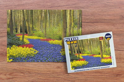 Puzzel Bloemenpad van tulpen in de Keukenhof - Legpuzzel - Puzzel 1000 stukjes volwassenen