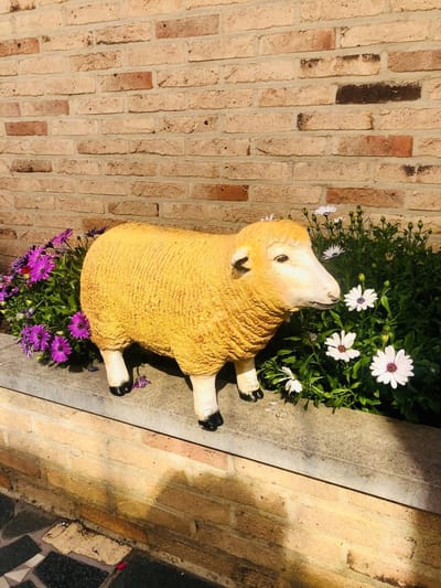 Texel schaap staand kop vooruit 34 cm - polyresin - polystone - hoogkwalitatieve kunststof - decoratiefiguur - interieur - accessoire - voor binnen - voor buiten - cadeau - geschenk - tuinfiguur - tuinbeeld