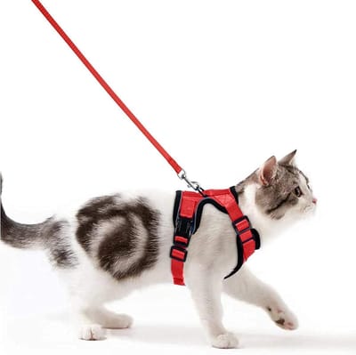 Stunq® Veiligheidsriem voor Katten - Reflecterende, Verstelbare Kattenharnas - Rood - Maat S