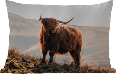Buitenkussens - Schotse hooglander - Dieren - Landelijk - Landschap - Koe - Natuur - 60x40 cm - Weerbestendig
