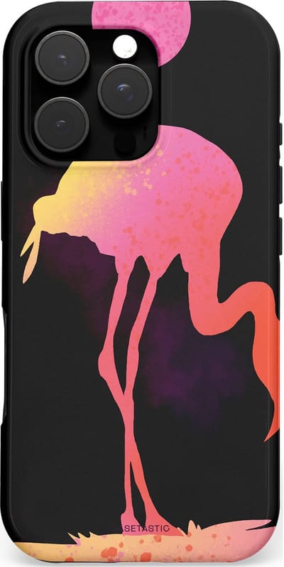Casetastic hoesje geschikt voor Apple iPhone 16 Pro - MagSafe - Dubbellaagse bescherming - Silhouet Flamingo - Fashion Case - Zwart Koraal Perzik