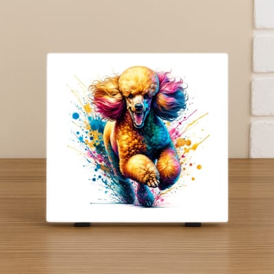 Wenstegel Poedel Hond – Kleurrijke Kunst Wanddecoratie & Cadeau – Trendy Nu –Decoratie – Zomaar - Hondenportret