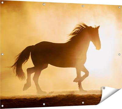 Gards Tuinposter Silhouet van een Paard - 120x90 cm - Tuindoek - Tuindecoratie - Wanddecoratie buiten - Tuinschilderij
