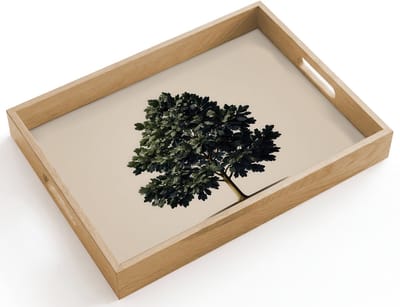 Dienblad hout 40x30 cm - Schootdienblad - Eikenboom - Schaduw - Egaal - Borrelplank rechthoek - Plateau dienbladen