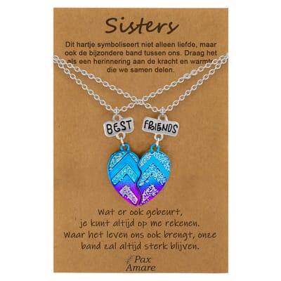 BFF Ketting voor 2 'Sisters' - Magnetisch Best Friends Hartje - Vriendschapsketting op Cadeau Kaartje - 45cm + 5cm verstelbaar - Zilverkleurig - Best Friends Hanger - Pax Amare
