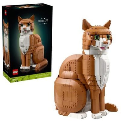 LEGO Ideas Oranje Kat Bouwpakket - 21376