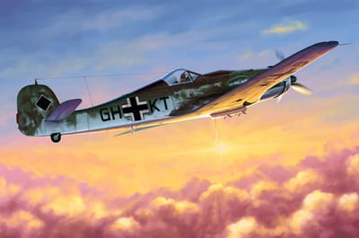 HobbyBoss Modelbouwpakket Vliegtuigen - 81717 Focke-Wulf Fw 190D-10 - Duitse Propellervliegtuig Plastic - 1:48 - Modelbouw