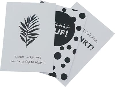 Luxe Wenskaarten - "Weg zonder gedag te zeggen" - Kado kaarten - Cadeau kaarten - 12 Stuks - 12 x 17 cm - Vrolijke Groet - Persoonlijke Boodschap - Feestelijke Gelegenheid - Speciale Momenten - Hoogwaardige Kwaliteit - Stijlvol Ontwerp - Verjaardag