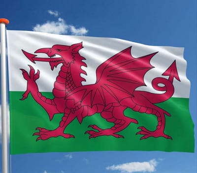 *** Grote Welsh 90x150cm Vlag 90x150cm - Welsh - van Heble® ******