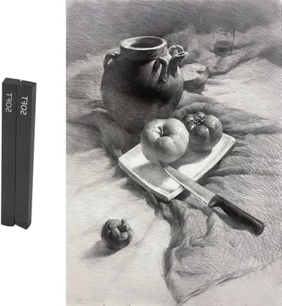 10 Stuks Gecomprimeerde Houtskoolstokken van Grafiet voor Tekenen, Schaduwen en Kunstprojecten voor Beginners en Professionals