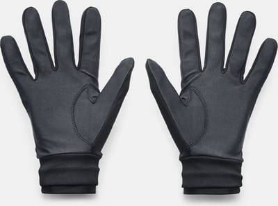 Under Armour ColdGear Infrared Winterhandschoen