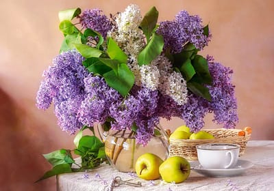 Castorland puzzel lilac stilleven - 500 stukjes legpuzzel.