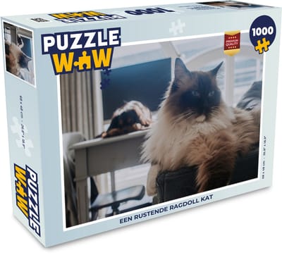 Puzzel Een rustende Ragdoll kat - Legpuzzel - Puzzel 1000 stukjes volwassenen