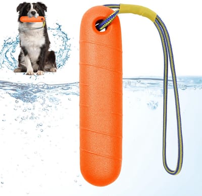 zwemspeelgoed voor honden, waterspeelgoed, 22 cm, water, interactief hondenspeelgoed, hondentraining met nylon touw, trainen, apporteren in het water, speelgoed voor middelgrote en
