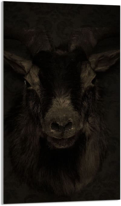 TMK ArtDeko Serie - Glazen Snijplank - 30x52 cm - Veilig en Hygiënisch - Veelkleurig