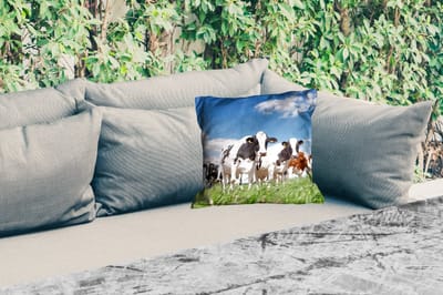 Tuinkussen - Koeien - Platteland - Weiland - Natuur - Dieren - 40x40 cm - Weerbestendig