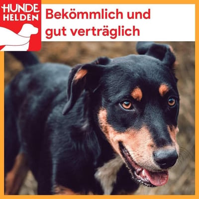 Gedroogde Runderlever voor Honden 1 kg - Natuurlijke Kauwspul zonder Additieven