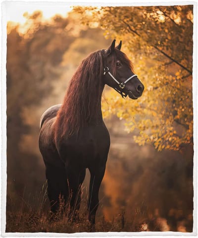 Zachte Plaid - Warme deken - Gezellige avonden - Dubbelzijdig comfort - 150 x 200 cm - Herfstbos