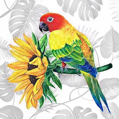 Wizardi Diamond Painting A bright parrot 40*40 cm  Vierkante steentjes