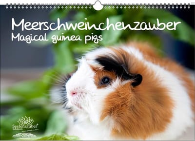 Cavia's Kalender A3 2025 - 13 Maanden Mooie Foto's van Cavia's