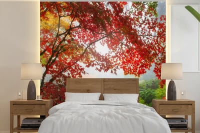 Behang - Fotobehang Japanse esdoorn - Bomen - Brug - Natuur - Japans - Breedte 280 cm x hoogte 280 cm