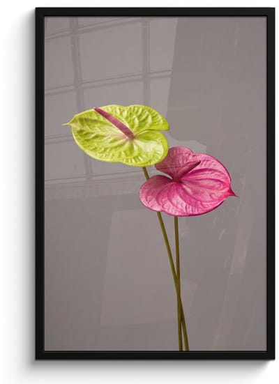 Poster in lijst - Fotolijst 60x90 cm - Posters - Planten - Anthurium - Groen - Roze - Posterlijst zwart - Decoratie - Wanddecoratie woonkamer - Muurdecoratie slaapkamer