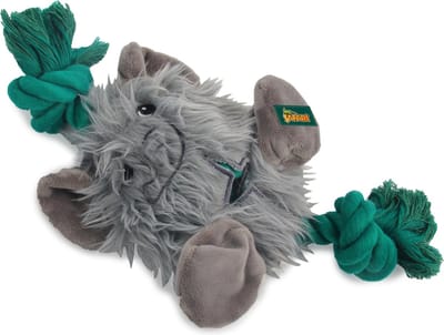 AFP Safari - Big Foot Elephant