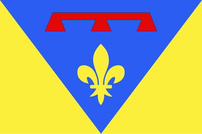 Vlag Var 100x150cm
