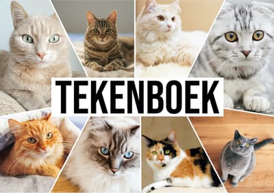 Bellatio Decorations schetsboek- tekenboek - kleurboek - A4 - Katten print - 50 vellen blanco papier - 80 grams
