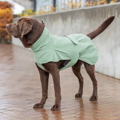 Trixie citystyle regenjas hond dublin salie 30 cm
