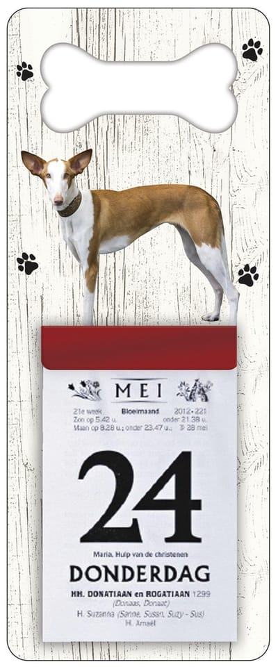 Scheurkalender 2027 Hond: podenco