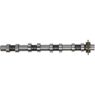 Nokkenas  FRECCIA CM05-2418