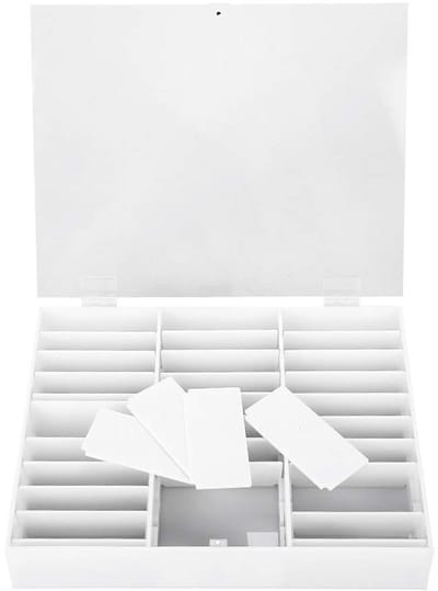Dailygoods- Decoratiecontainer Duurzaam - Opbergdoos met vakjes - Nail Art Opbergdoos - Steentjes/Kralen - Lichtgewicht - Gemakkelijk schoon te maken