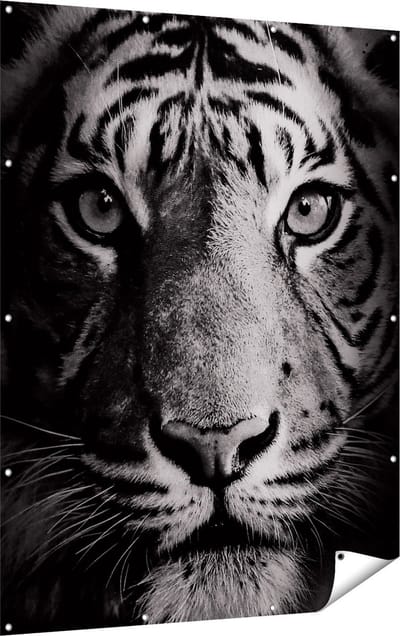 Gards Tuinposter Tijgerkop - Tijger - Zwart Wit - 120x160 cm - Tuindoek - Tuindecoratie - Wanddecoratie buiten - Tuinschilderij