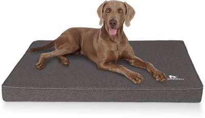 Orthopedische hondenmat Nantucket van velours met handgeweven karakter L 80 x 60 cm antraciet