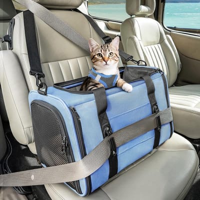 Opvouwbare Draagtas voor Kat en Hond - Transportbox met 4-zijdig Net en Afneembaar Kussen