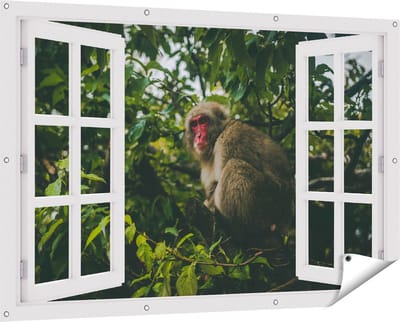 Gards Tuinposter Doorkijk Aap in de Boom tussen de Bladeren - 150x100 cm - Tuindoek - Tuindecoratie - Wanddecoratie buiten - Tuinschilderij