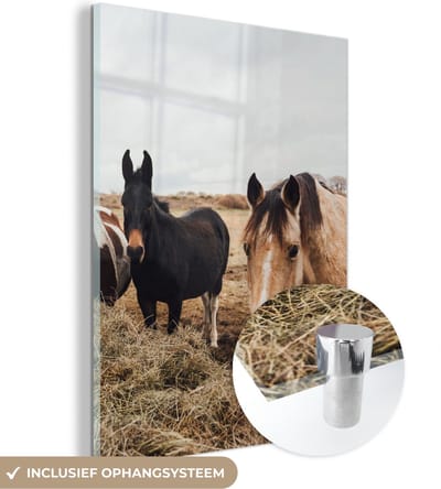 MuchoWow® Glasschilderij 30x40 cm - Schilderij acrylglas - Dieren - Paard - Paarden - Foto op glas - Schilderijen