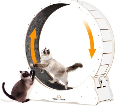 Extra Grote Houten Loopband voor Katten XXL - Stil & Veilig Dierenspeelgoed