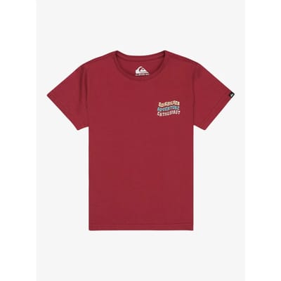T-shirt kind Quiksilver EV Cosmic Character