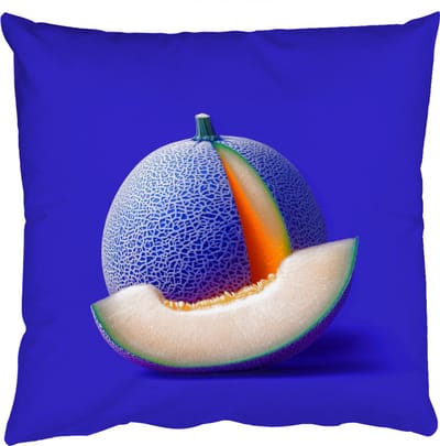 Sierkussens - Kussentjes Woonkamer - 50x50 cm - Meloen - Blauw - Oranje - Kunstzinnig