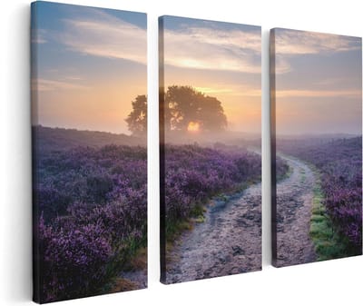 Artaza Canvas Schilderij Drieluik Pad in de Weide van de Veluwe - 120x80 - Foto Op Canvas - Canvas Print