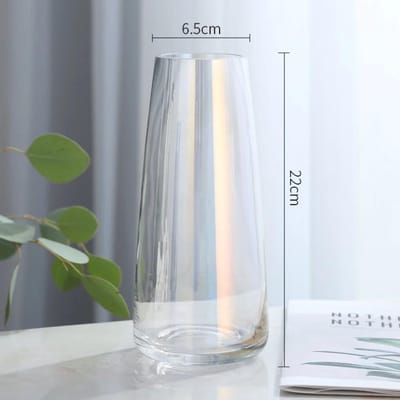 Scandinavisch Glas Verse Vaas Arrangement Modern Minimalistisch Woonkamer Transparant Sneeuw Wilg Water bloemenvaas gray