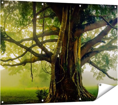 Gards Tuinposter Grote Levensboom met Veel Takken - 120x90 cm - Tuindoek - Tuindecoratie - Wanddecoratie buiten - Tuinschilderij