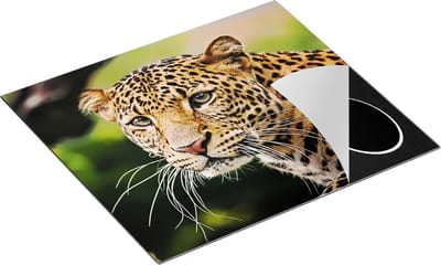 Chefcare Inductie Beschermer Luipaard van Dichtbij - 60x50 cm - Afdekplaat Inductie - Kookplaat Beschermer - Inductie Mat